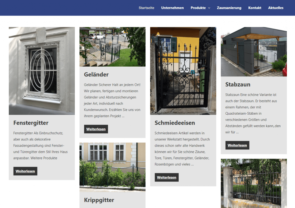 Website Fischer Gitter