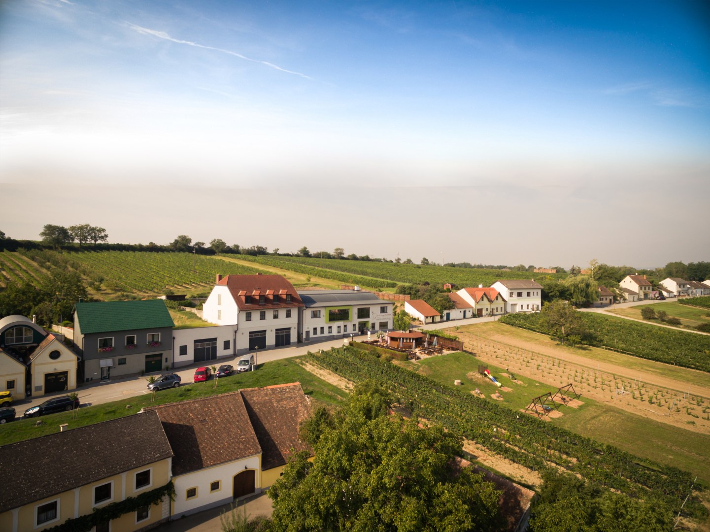 Weinstimmig Dworzak