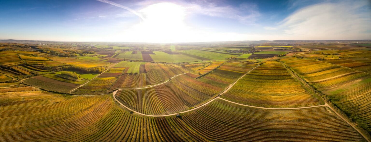Weingärten im Weinviertel aus der Luft