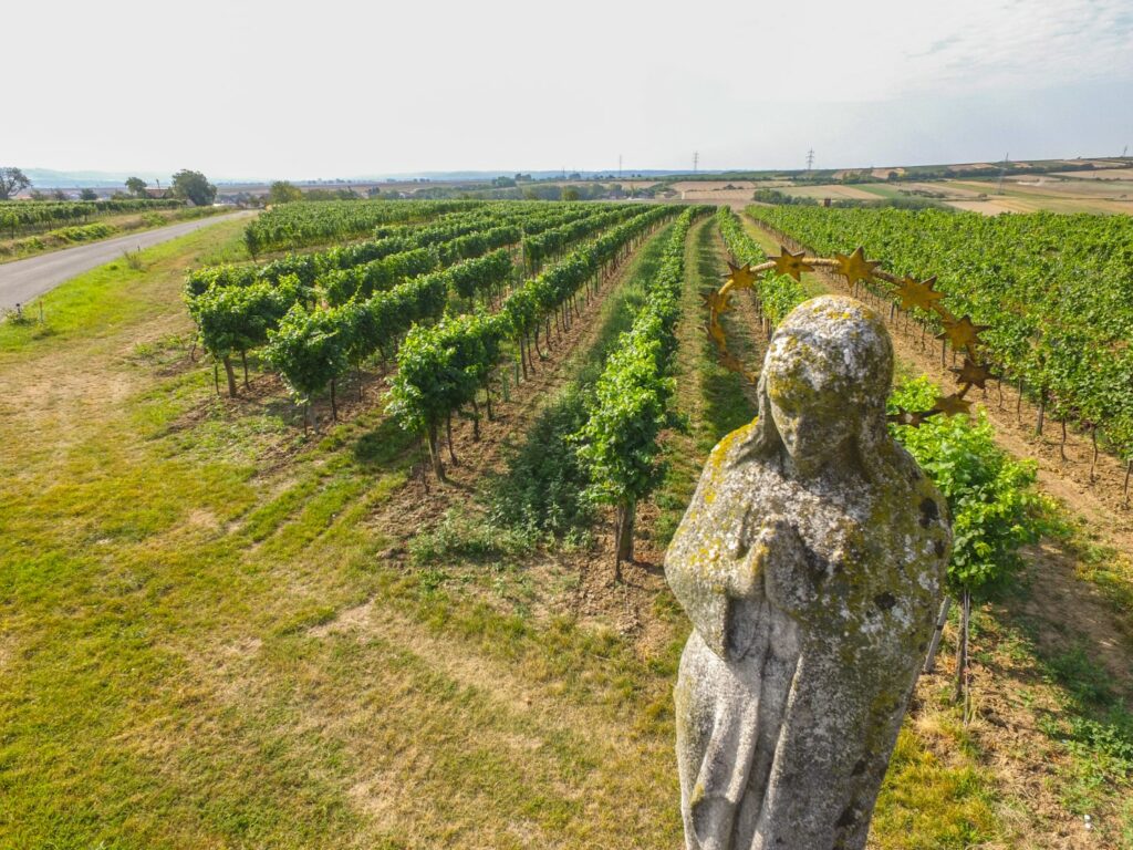 Weingut Kurt Hummel aus der Luft