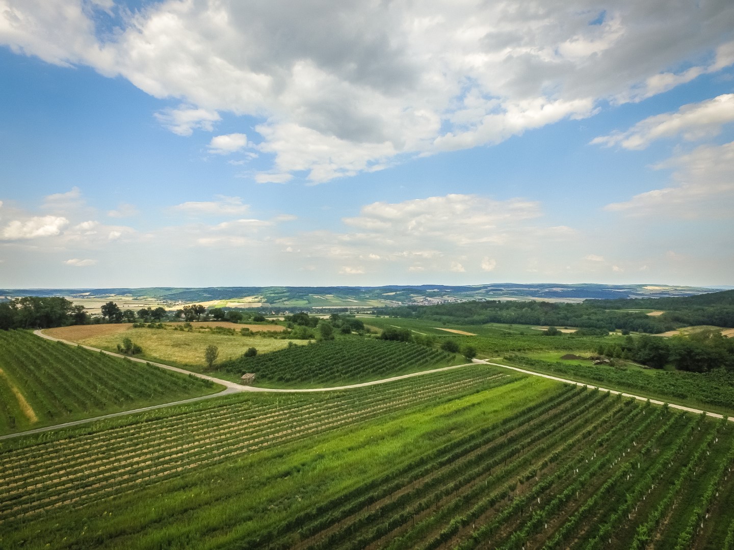 Weingut Obenaus